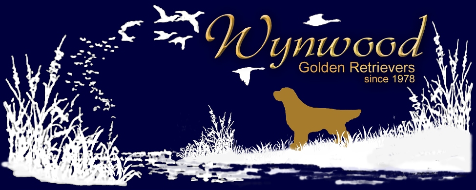 Wynwood Golden Retrievers